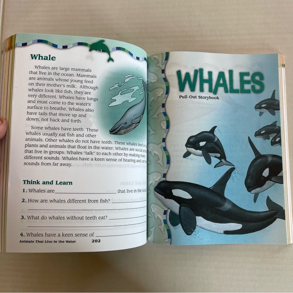 The Complete Book of Animals for Grades 1-3 - Picture 6 of 6